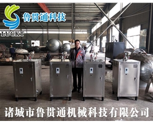 電蒸汽鍋爐 各種型號現貨供應，型號不同，功率不同，可適用于多種行業(yè)，歡迎來(lái)單咨詢(xún)