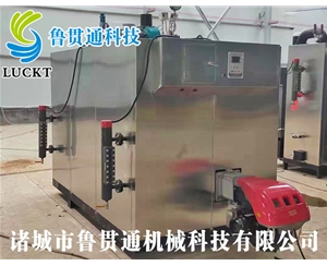 燃氣（油）蒸汽發(fā)生器 現貨供應，工廠(chǎng)直銷(xiāo)，規格型號眾多，可來(lái)電咨詢(xún)